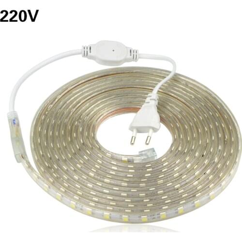 1M 5M 10M 15M 20M 220V LED Lights Strips Kitchen Flexible Strip Tape 60leds/m Waterproof Led Tape Plug Wardrobe Cabinet Lamp