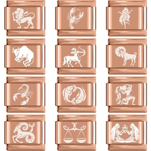 Hapiship 2020 New Style 9mm width 12 Constellation Charm Links for Bracelet Stainless Steel Jewelry DIY Making DJ205