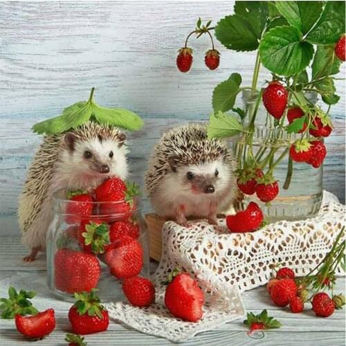 30x30cm 5D DIY Full Drill Round Diamond Painting Fruit Hedgehog Diamond Embroidery Mosaic Kit Home Decor for Bead Art Wall Gift