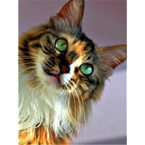 Animal Cat DIY 11CT Cross Stitch Embroidery Kits Craft Needlework Set Cotton Thread Printed Canvas Home Decoration Design