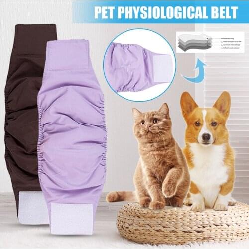 Reusable Male Pet Dog Diaper Physiological Pants Breathable Waterproof Shorts M56