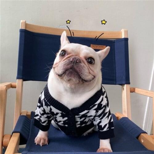 Fashion Dog Clothes Cat clothes Dress French Bulldog Teddy Schnauzer Puppy Fall Winter Dog Apparel Dog Coat