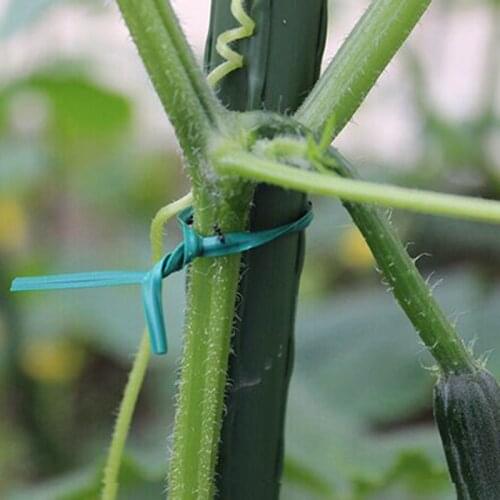 100pcs 10/20/30cm Gardening Cable Tie Green Plastic Gardening Vine Climbing Plants Cable Tie Lines Garden Accessories