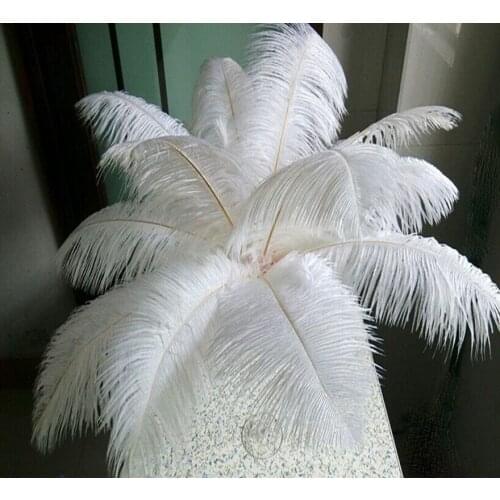 Manufacturers sell 100 pcs high quality White ostrich feathers 24-26 inch 60-65 cm Wedding decoration