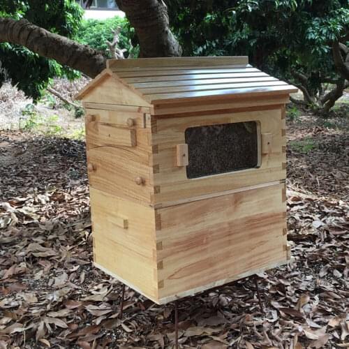 7pcs/Automatic Honey Bee Hive House Hive Frames Cedarwood Beekeeping Brood House Box Honey Collection For Beekeeping Tools