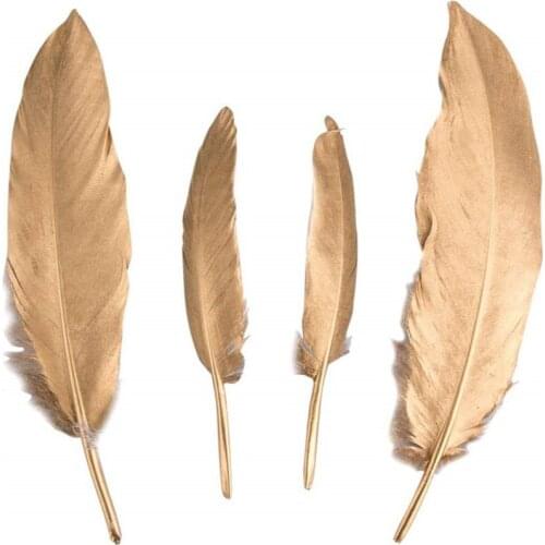 Mixed batch40Pcs Spray Gold goose/duck feather10-22cm DIY Stage decoration accessories plumes jewelry making feathers for crafts