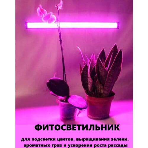 Профессиональное освещение ULTRAFLASH China At AliExpress