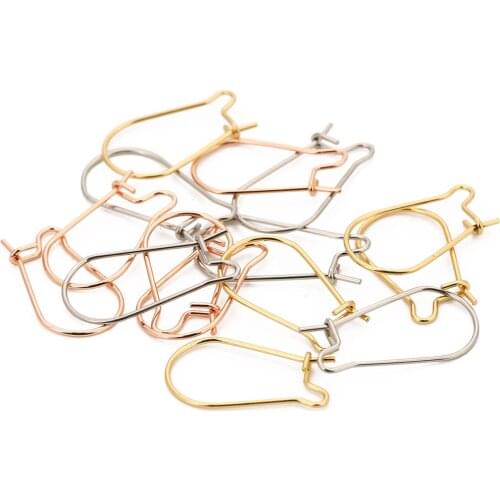 20Pcs/lot 316L Stainless Steel Rose Gold Hypoallergenic Kidney Ear Wires Earring Hooks Clasp for DIY Jewelry Making Finding