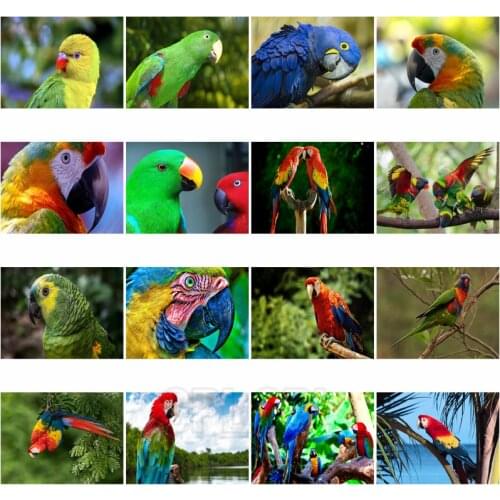 Diamond Painting Animals Colorful Macaw Blue Color Parrot Feather Bright Bird Class Pointed Beak Animals Living Room Decor Mural