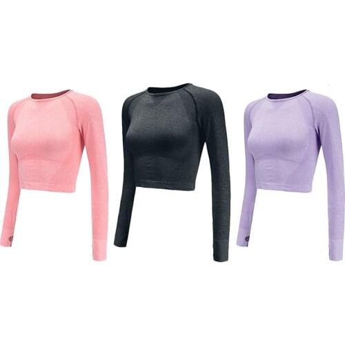 Long Sleeve Fitness Yoga Wear Umbilical Seamless Gradient Training Breathable Tight And Soft Nylon Spandex Black Pink Violet