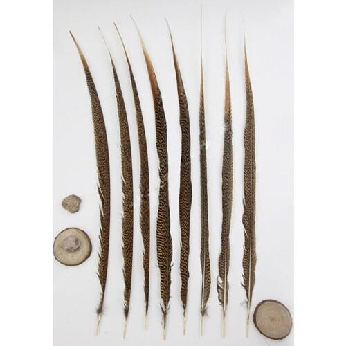 100pcs Golden Pheasant Feathers 50-75cm pheasant tail feather plumes feathe crafts for Wedding party carnival dancing decoration