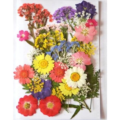 Design-1 40pcs Mixed Pressed Dried Flower Leaves Filler For Epoxy Resin Jewelry Making Postcard Frame Phone Case Craft DIY