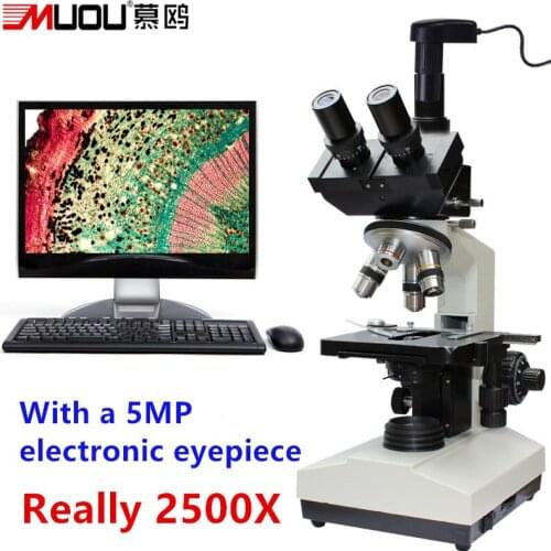 Top quality!2500X+5MP electronic eyepiece Lab Compound Biological Microscope-2500X LED Trinocular Microscope Metal student
