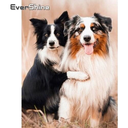 Evershine Diamond Embroidery Dog Full Square Diamond Painting Animal Cross Stitch Kit Diamond Mosaic Full Embroidery Decoration