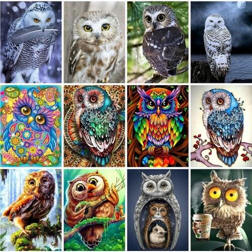 HUACAN Diamond Painting Kit Animal Diamond Embroidery Sale Owl Pictures Of Rhinestones Full Mosaic Handmade Gift