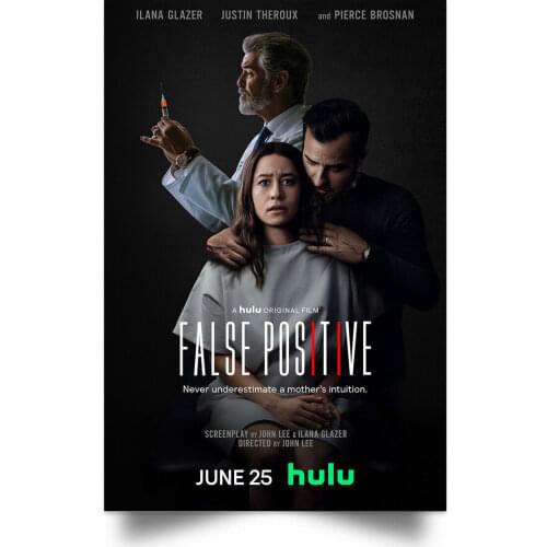 False Positive MOVIE Picture Art Film Print Silk Poster for Your Home Wall Decor 24x36inch