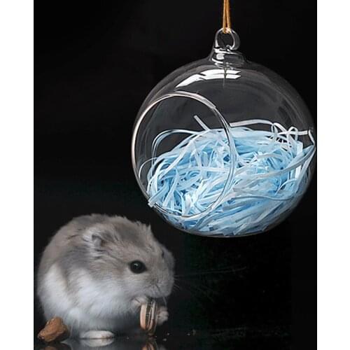 Legendog 1pc Hamster House Nest Creative Summer Hamster Bed Hanging Glass Globe For Small Animal Pet Supplies