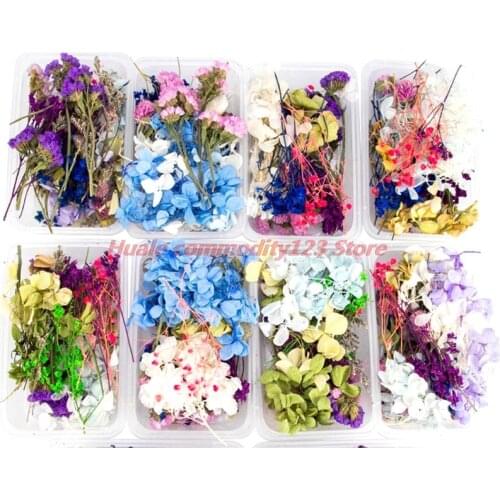 Random 1 Box Natural Dried Flower Dry Plants Real Flowers DIY Craft Accessories