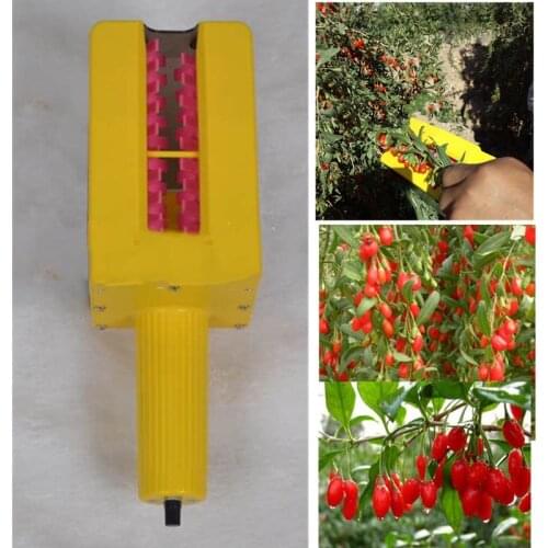 Small and portable wolfberry harvester no battery giji fruit picker handheld Goji berry picker picking goji equipment tool