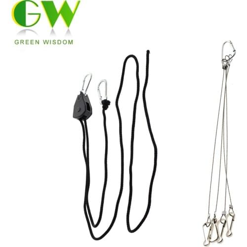 Green Wisdom Professional Lighting