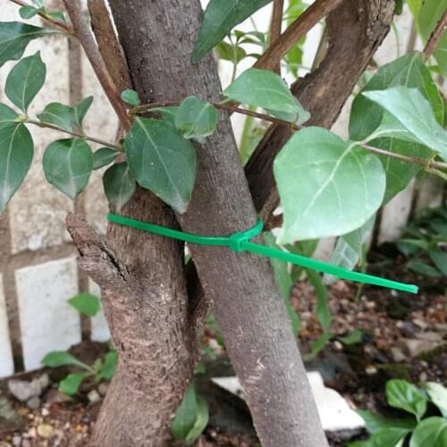 50Pcs Twist Ties Adjustable Self-locking Plastic Garden Flower Wires Trunk Retainer Set for Garden Plant Maintenance Equipment