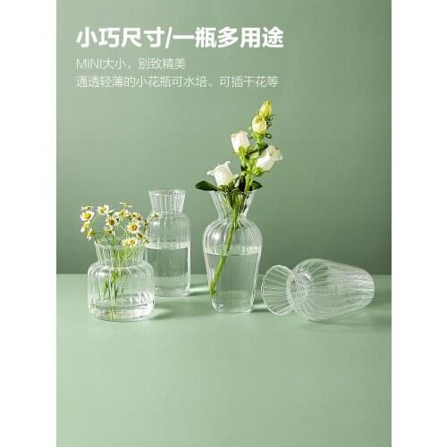 Transparent glass small vase decoration living room flower arrangement water culture mini desktop glass bottle