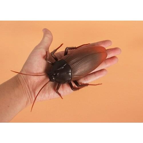 [Funny] Trick toys Remote control animal LED light RC insects Ant Cockroach Spider electronic pet robot model Prank toy joke toy