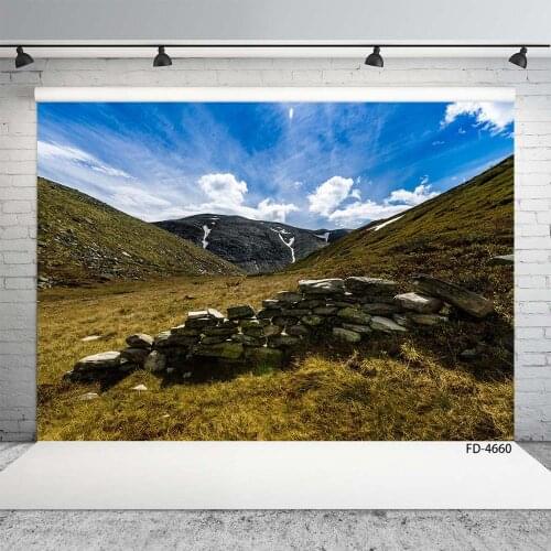 Mountain Grassland Stones Photo Backdrop Customized Backgrounds for Baby Children Portrait Scenic Photobooth Photography Props