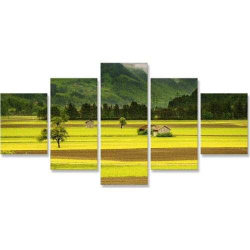 Landscape Nature Field Wall Art Painting 5 Pcs Poster Print Modern Art Paintings Wall Pictures for Living Room