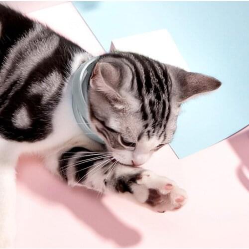 10PCS Pet Cat Dog Anti-flea Collar Mosquitoes Control Insect Repellent Ajustable Long Term Work Silicone Cat Accessories US