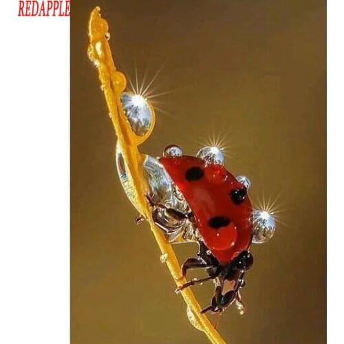 Diamond Painting Ladybug DIY 5D Full Square Round Diamond Embroidery Water droplets Rhinestones Mosaic Kits Home Decor Craft