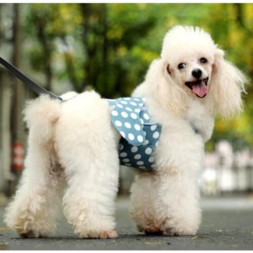 New Product Aircraft Type Anti-Leakage Breathable Small Dog Chest Harness Traction Rope Camisole Style Rope Walking XL