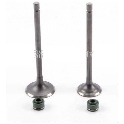 Motorcycle Ntake and Xhaust Valve Oil Seal for Haojiang Hj125-8a-8b Liebao 5a 5b 3a 3b Lieshou Tianhu