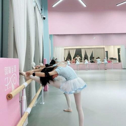 Beable Indoor PVC Flooring Used To Dance Room In Roll 4.0mm 5.0mm Thickness