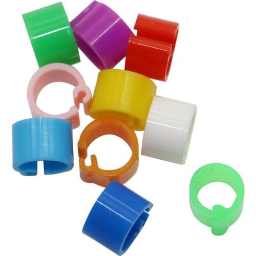 Pigeon Supplies Bird Appliances Pigeons Rings 6mm Bayonet Identification Ring Opening Pigeon Ring Color Pigeon Foot Ring 100 Pcs
