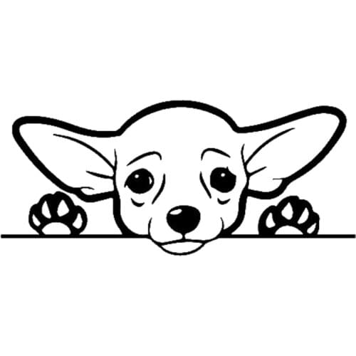 PLAY COOL Cute Chihuahua Dog Car Sticker Exterior Accessories Vinyl Decals T-00093