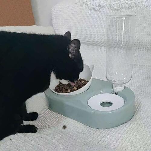 2in1 Food Dog Bowls for Small Dogs Water Dispenser Water Storage Cat Bowls with Stand Automatic Feeder pet Dog Cat Food Bowl