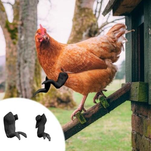 Funny Plastic Chicken Strong Arms For Chicken To Wear Costume Trex Arms Toy Decoration Pet Funny Products Habitat Decor Tool New