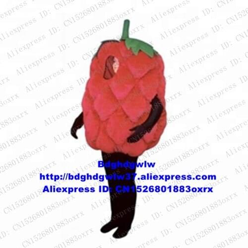 Raspberry Bilberry Bramble Strawberry Roseberry Lamponi Mascot Costume Character Tourist Attractions Opening Session zx2597