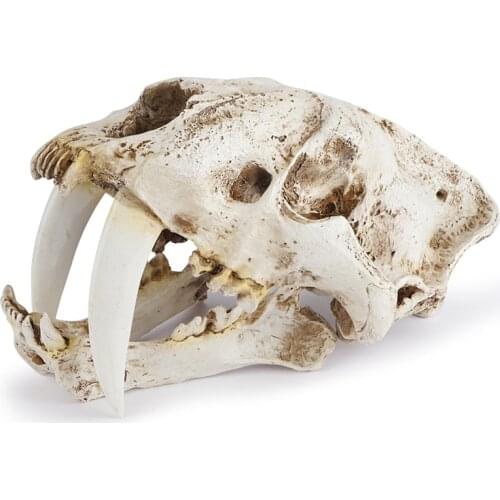 Resin Craft Saber-Toothed Tiger Skull Statues Decoration Creative Bar Decoration Skull Sculpture Home Ornaments
