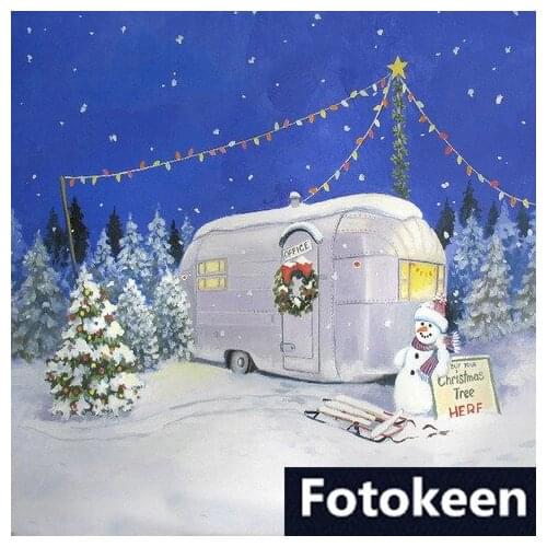 New arrival 3m*6m Hand painted Muslin christmas backdrops photography FS-43 ,winter frozen backdrop, muslin background