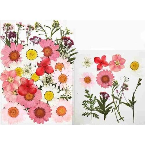 Artificial Dried Flower Multicolor Flower Field Series Facial Aroma Candle Pendant DIY Art Decoration Craft Jewelry Making