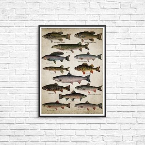 Fishing Angling Wall Art Canvas Posters Prints Breeds Of Fish Painting Freshwater Fish Wall Picture for Home Room Decoration