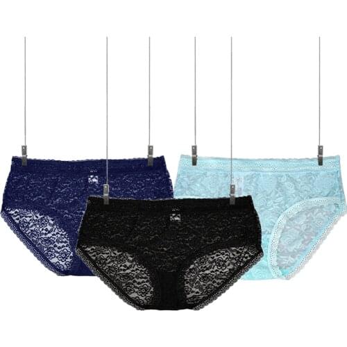 3 Pcs Panties for Woman Underpants Sexy Lace Breathable Soft Lingerie Female Briefs High Quality Womens Underwear Plus Size