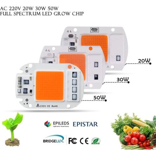 YXO YUXINOU LED Bulbs