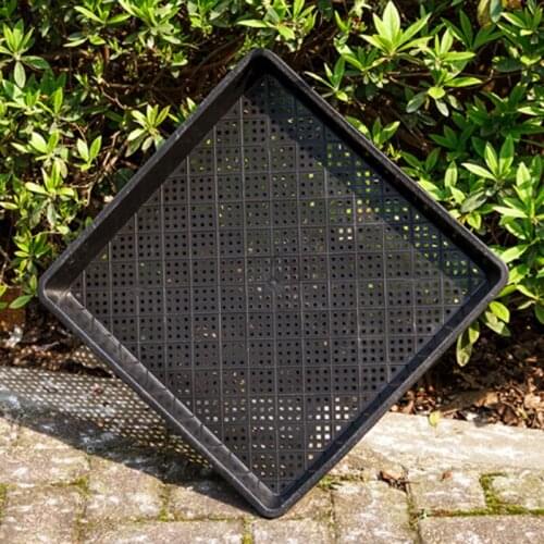 Plastic Fleshy Seedling Tray Durable Small Black Square Color Square Meaty Tray Storage And Sorting Box Nursery Basin For Home