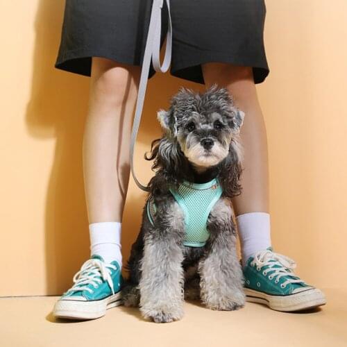 Pet Chest Harness Reflective Color Matching Dog Leash Breathable Light Training Collar Dog Leash For Small Medium Dog Supplies