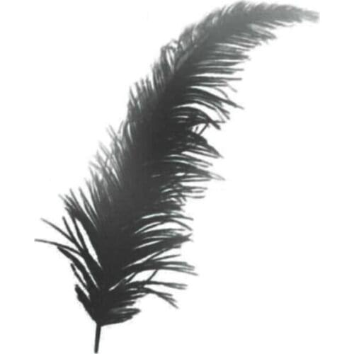 Black Color Feather 100 Pcs wedding bride mariage хна henna