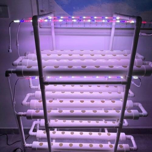 Vertical Hydroponics Growing System With LED Growing Lights for Family Farm Vegetables Growing