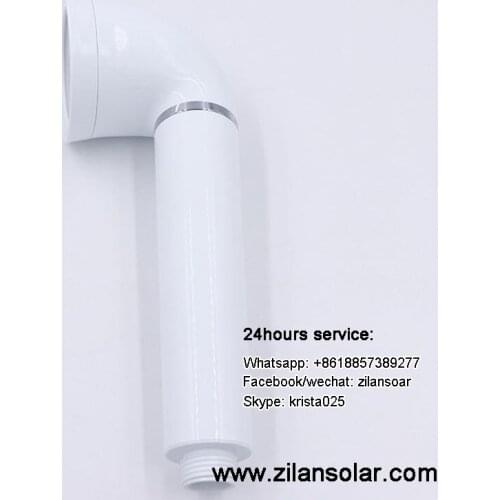 Pressurized filter shower/SPA shower head